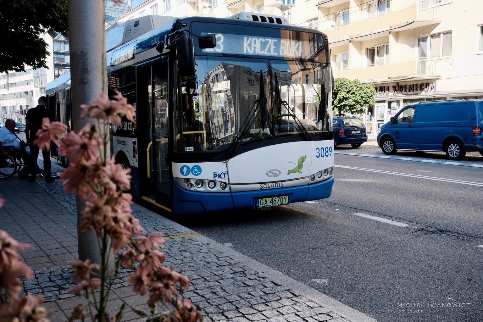 Trolejbus na przystanku widziany zza kwiatów na pierwszym planie
